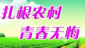 大學生村官選調生是公務員嗎？村官選調生和選調生什么區別？有編制嗎？