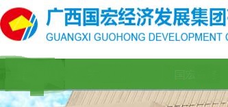 廣西國宏集團董家政簡歷，陳海波、李倩、羅勇、唐建琦、覃銘、鐘麗、白衛夫、鄒煥鑫領導班子