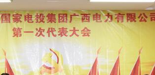 國家電投集團廣西電力公司毛國權簡歷，領導班子成員什么級別？