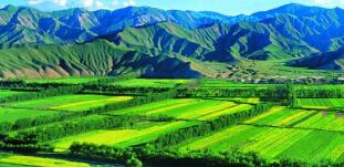 廣西農村投資集團待遇怎么樣？廣西農業信貸擔保公司工資多少？中層如何？