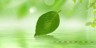 南寧八菱科技怎么樣？待遇怎樣，為什么被譴責？年產多少錢？