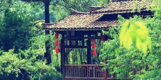 廣西廣投文化旅游公司梅以軍簡歷，廣西廣投文旅和廣西投資集團啥關系？