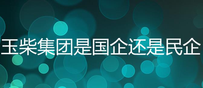 玉柴集團是國企嗎？玉柴集團是五百強嗎？